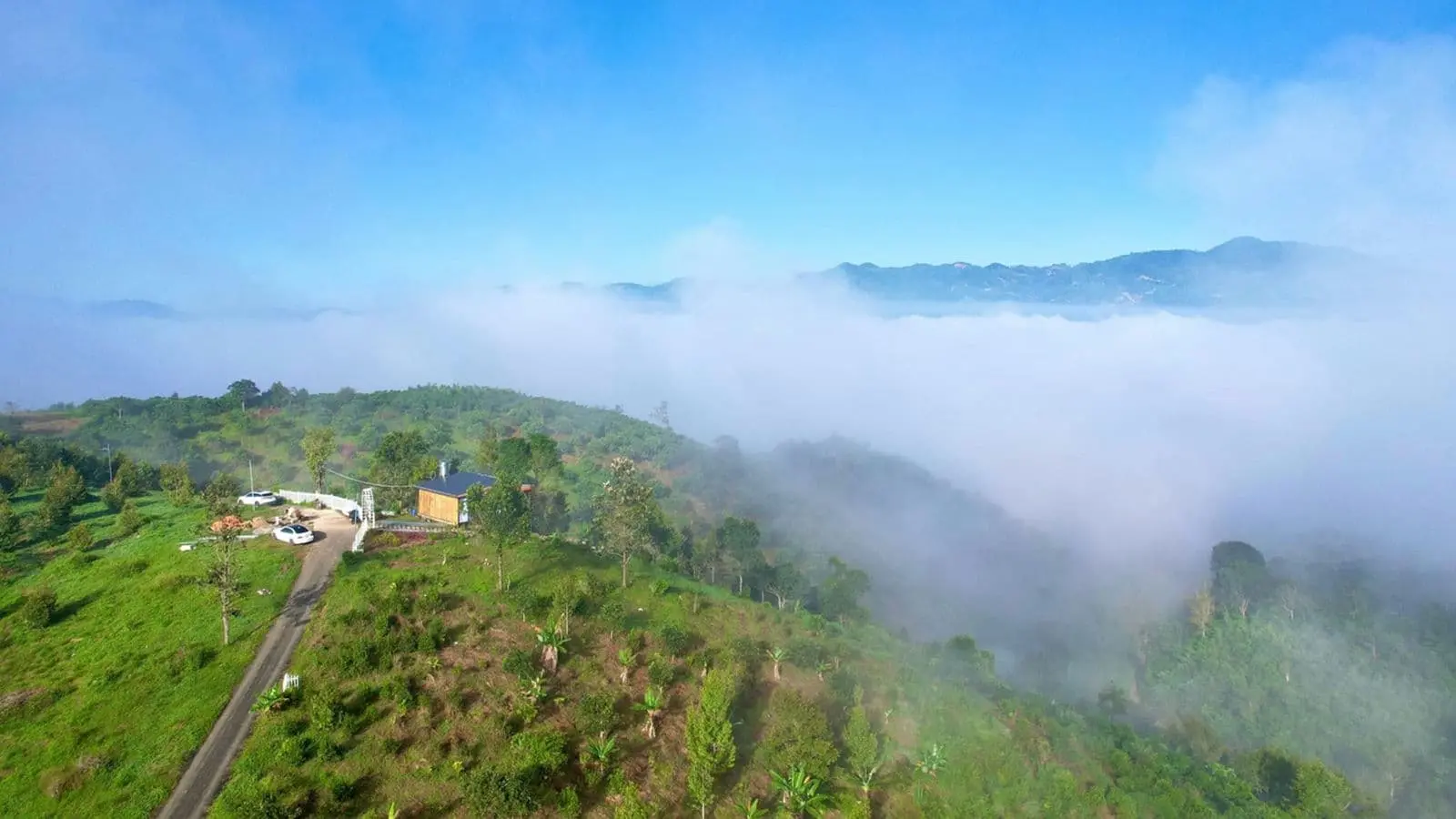 Palm Garden Bảo Lộc 6 Hình ảnh thực tế Palm Garden Bảo Lộc