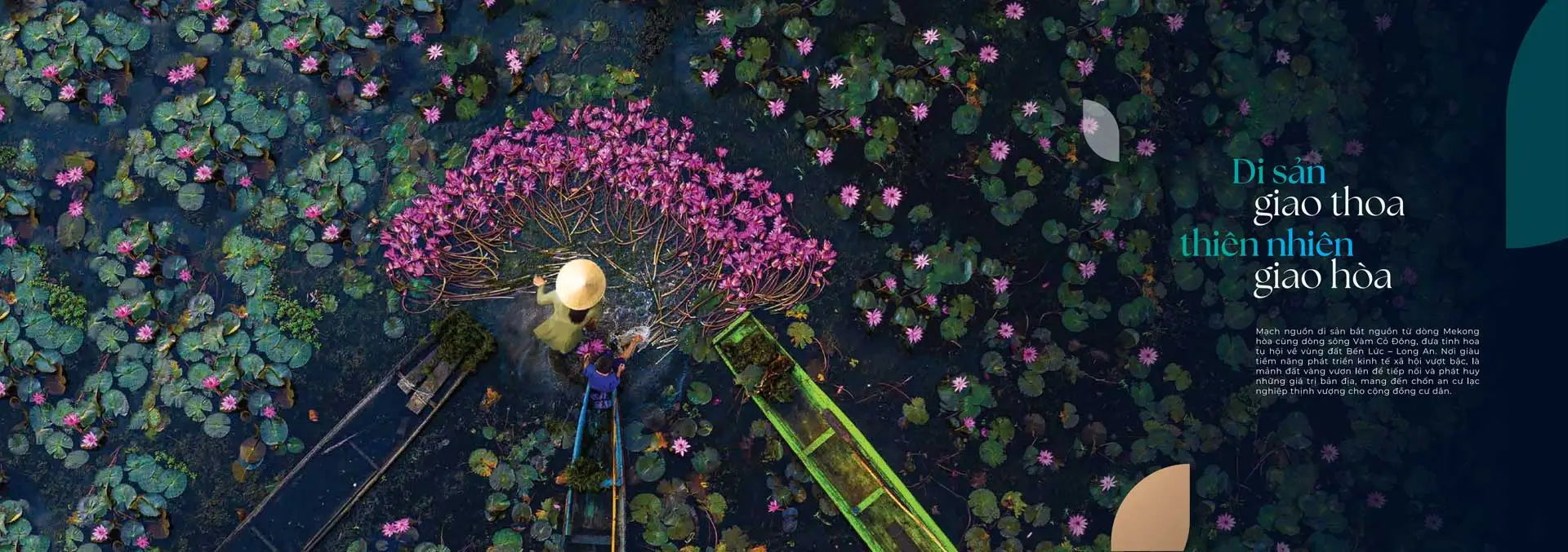 La Home Long An 40 la home diem giao thoa van hoa