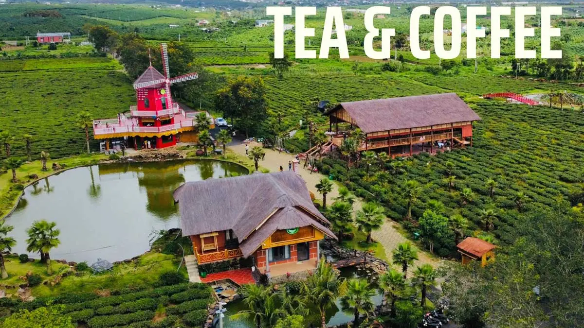 The Ocha Bảo Lộc 9 Tiện ích Dự án The Ocha Bảo Lộc