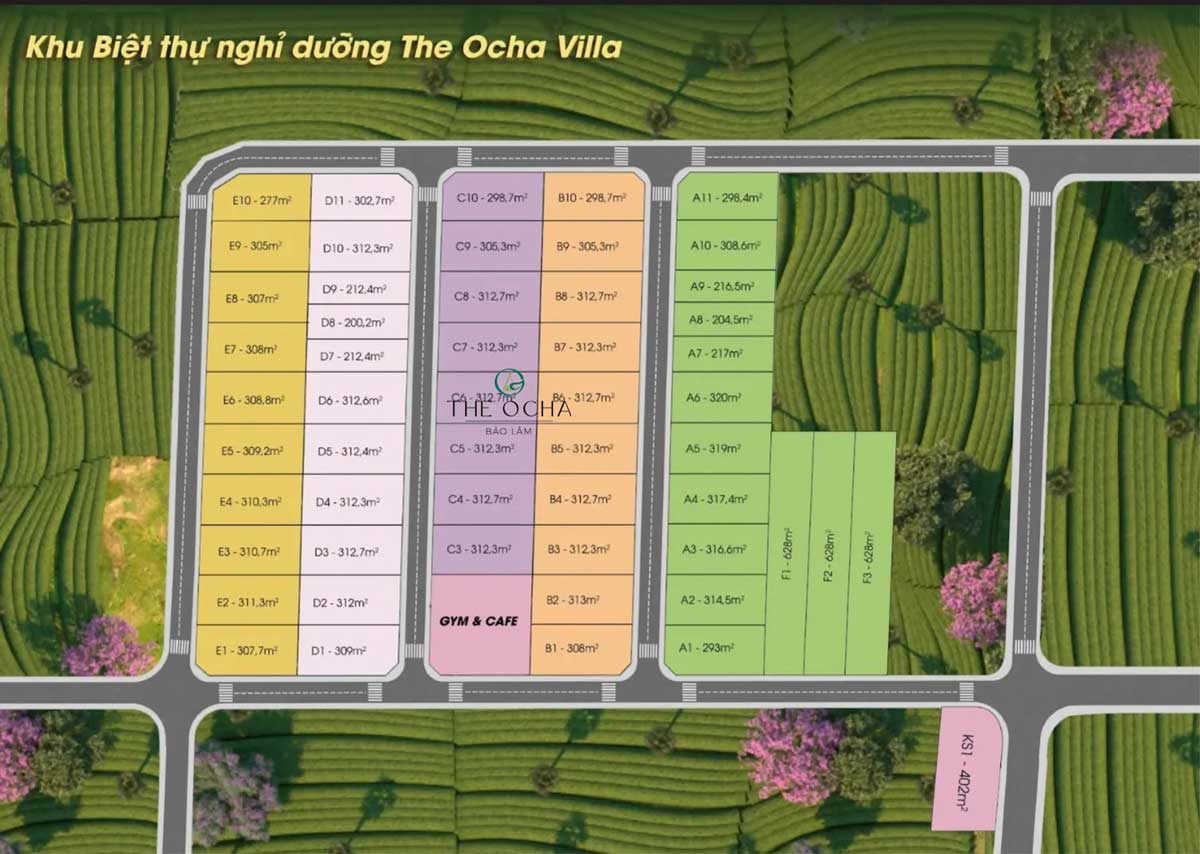 Mặt bằng Phân lô Dự án The Ocha Bảo Lộc