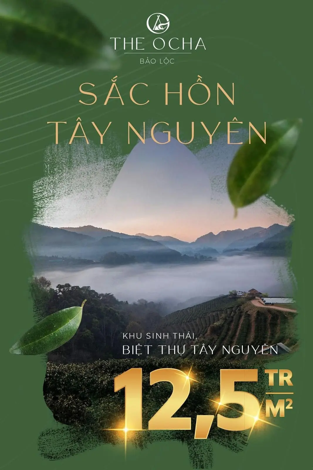 The Ocha Bảo Lộc 13 Giá bán Biệt thự The Ocha Bảo Lộc