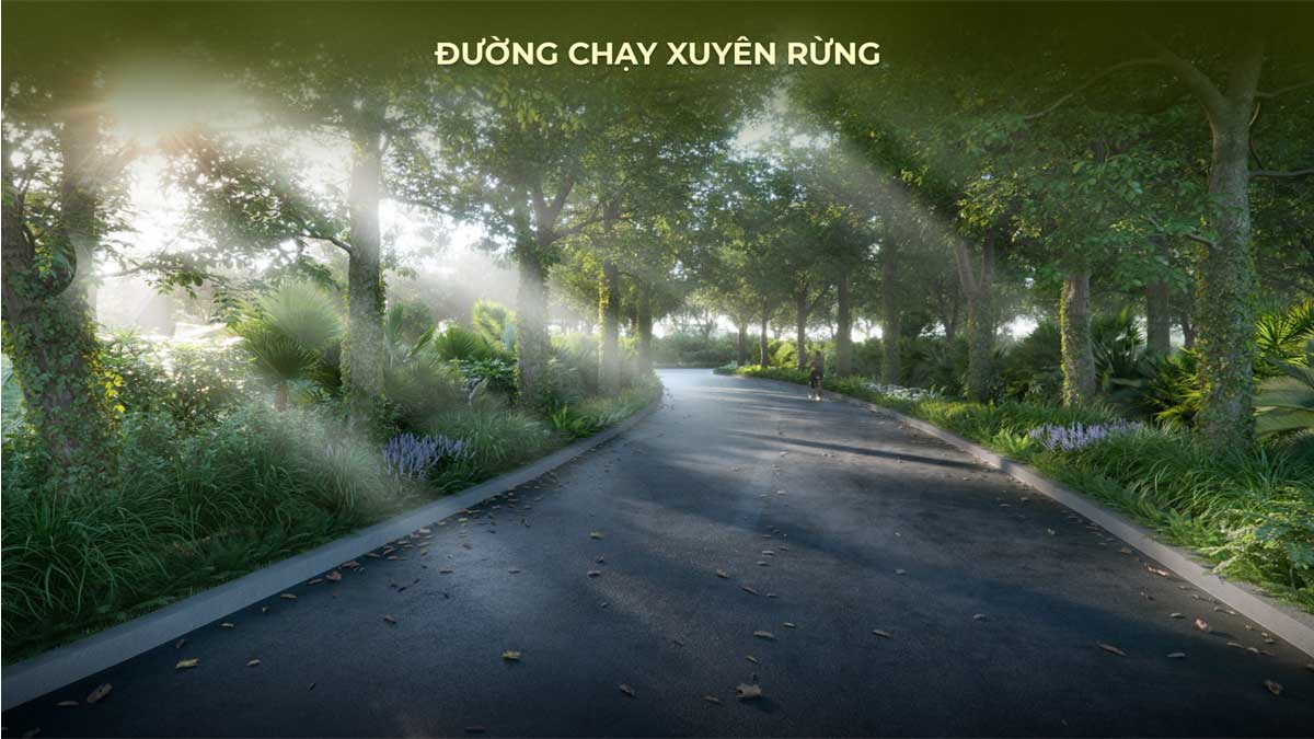 Đường chạy xuyên Rừng Eco Village Saigon River