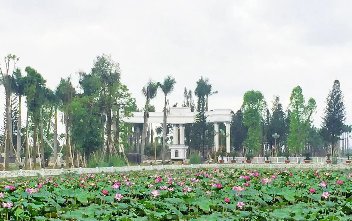 Lucky Garden Bình Mỹ Củ Chi 7 ho-sen-lucky-garden