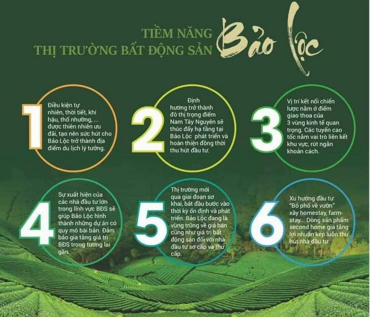 Tiềm năng thị trường Bất động sản Bảo Lộc