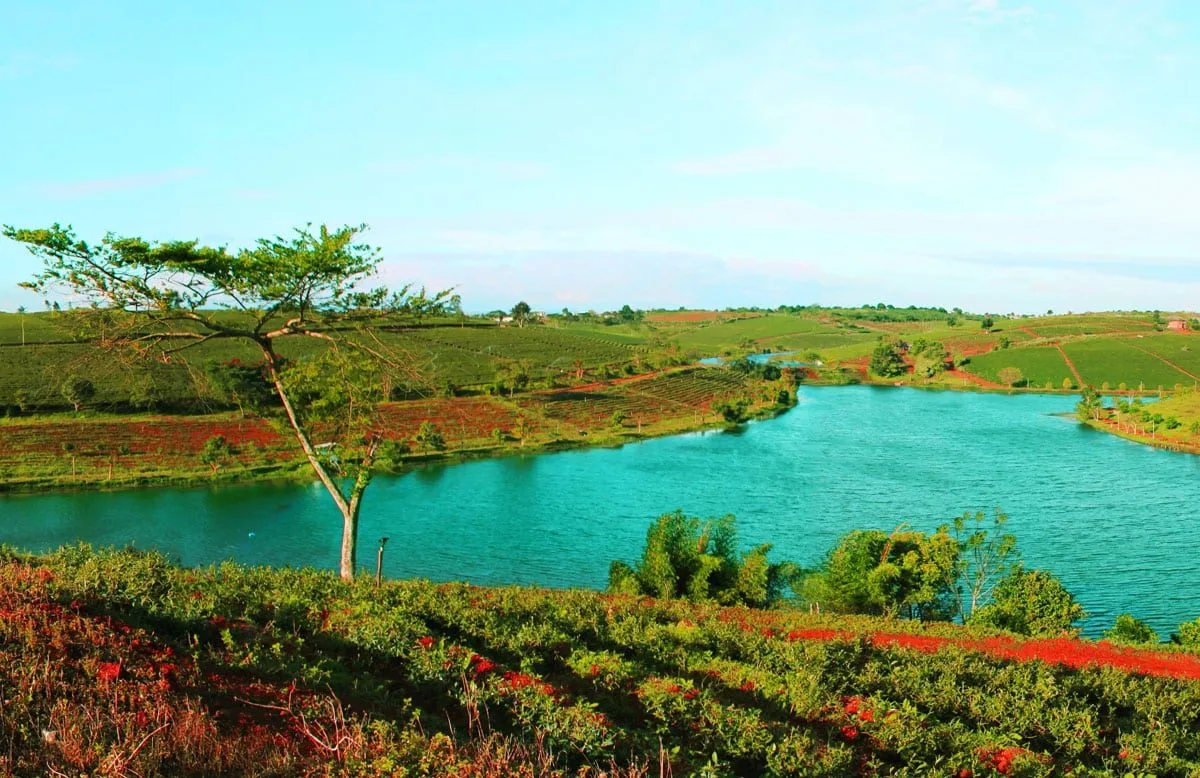 Forest Hills Bảo Lộc 8 Tiến độ thi công Dự án Forest Hills Bảo Lộc