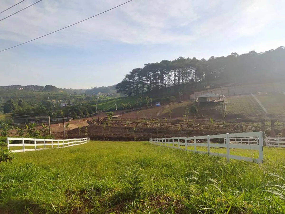 KIWUKI VILLAGES BẢO LỘC hinh anh thuc te du an KiWuKi Village bao loc - KIWUKI VILLAGES BẢO LỘC