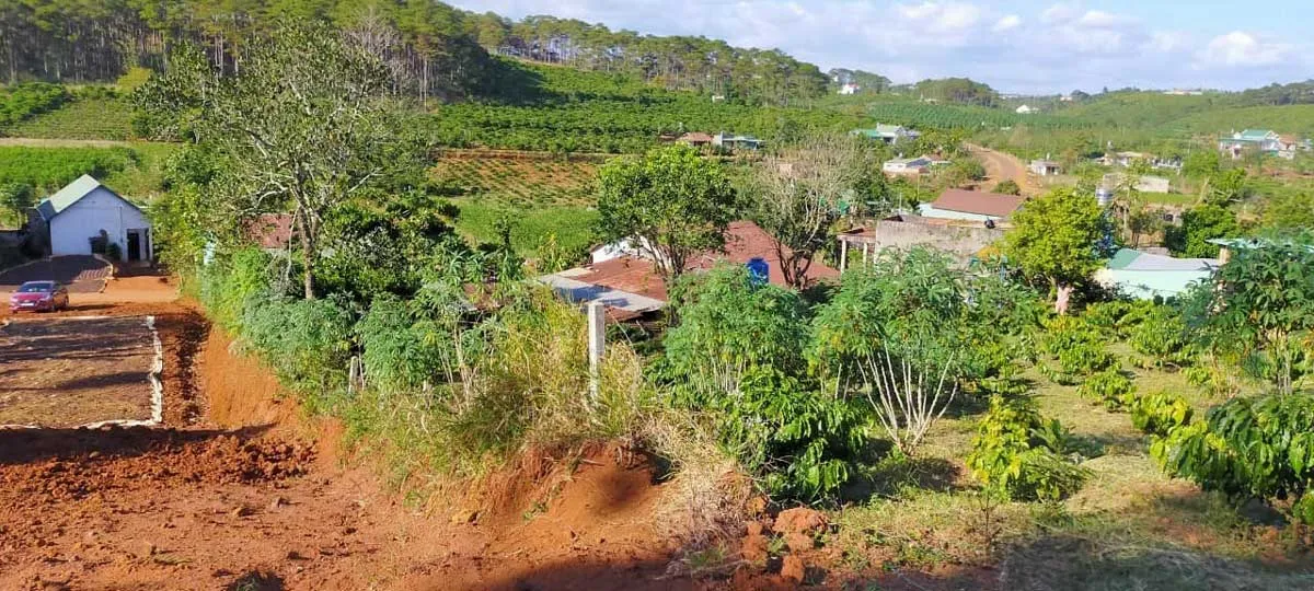 KIWUKI VILLAGES BẢO LỘC hinh anh thuc te du an KiWuKi Village - KIWUKI VILLAGES BẢO LỘC