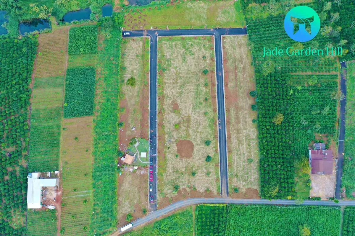 Jade Garden Hill Hinh anh Dat nen Jade Garden Hill - Jade Garden Hill