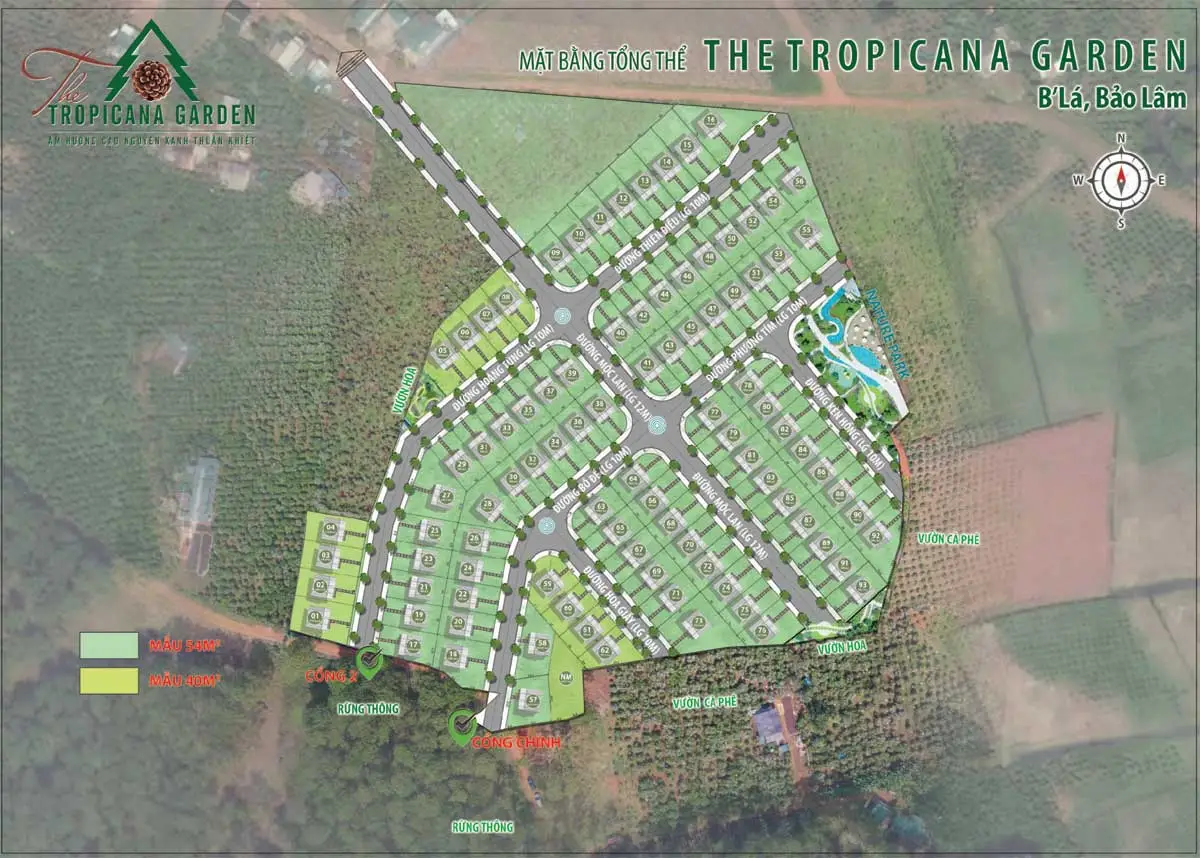 The Tropicana Garden 9 Mặt bằng Phân lô Làng sinh thái The Tropicana Garden Bảo Lộc