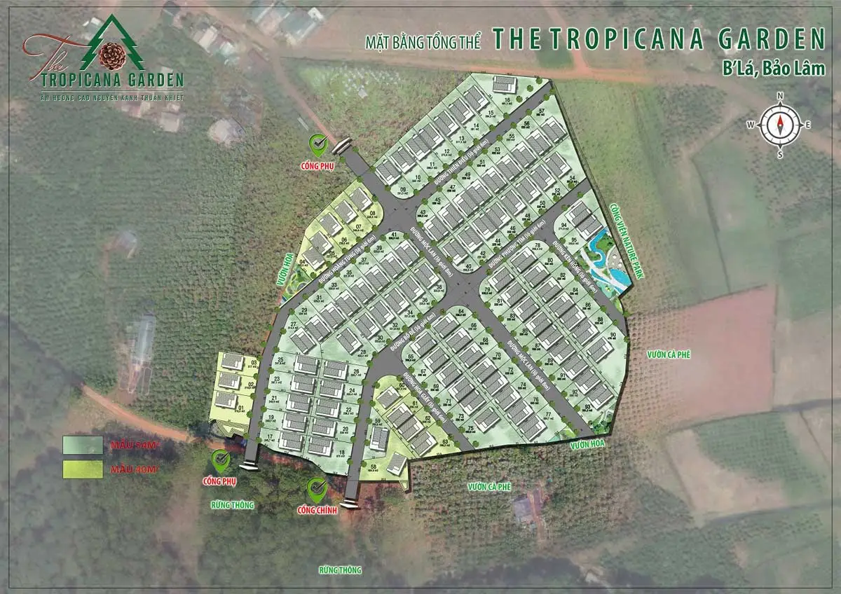 The Tropicana Garden 8 Tổng thể Làng sinh thái The Tropicana Garden Bảo Lộc