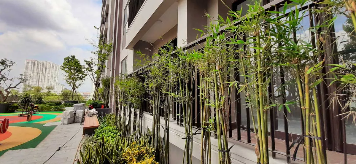 OPAL BOULEVARD hinh anh thuc te tien do thi cong noi khu du an can ho opal boulevard moi nhat - OPAL BOULEVARD