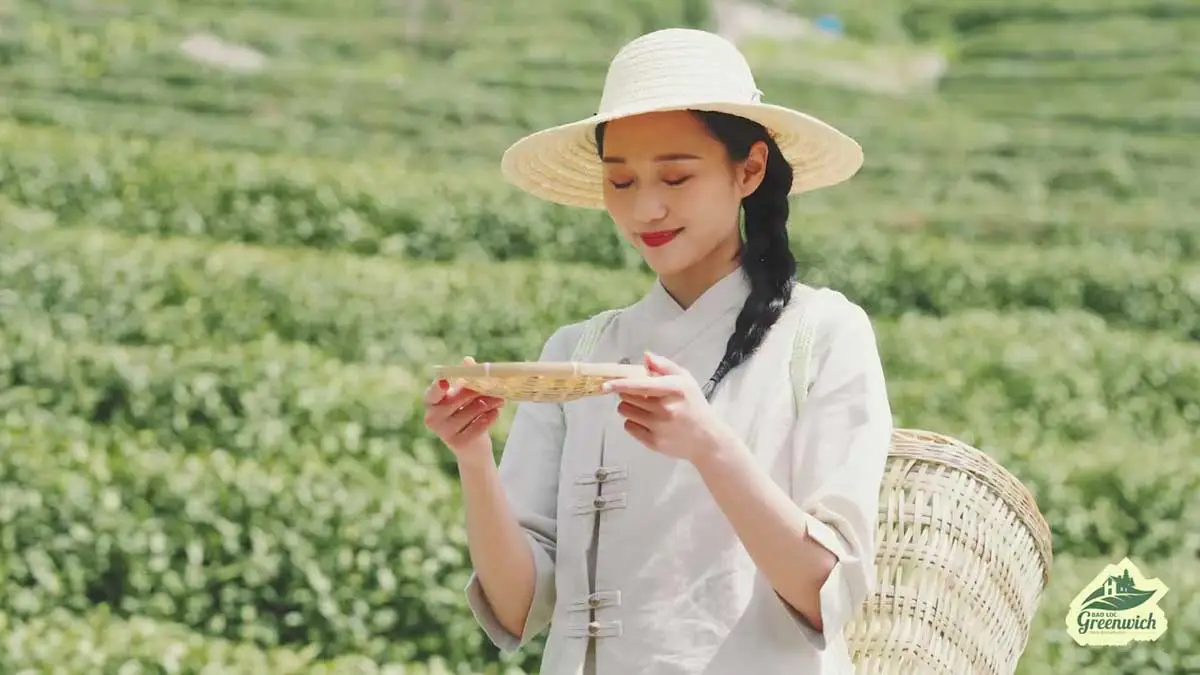 BẢO LỘC GREENWICH 4 Bảo Lộc Greenwich - Mua Quê