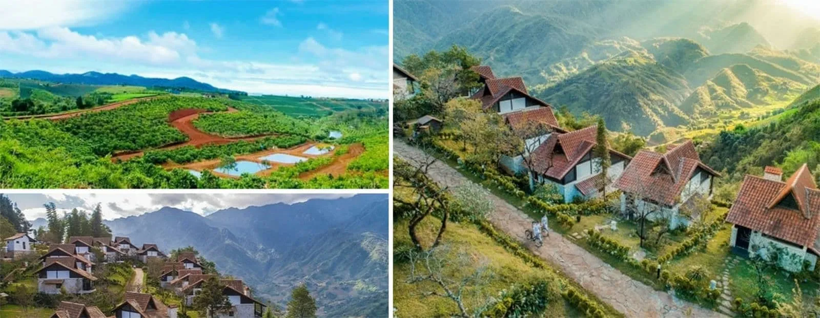 biet-thu-doi-du-an-la-nature-bao-loc biet-thu-doi-du-an-la-nature-bao-loc