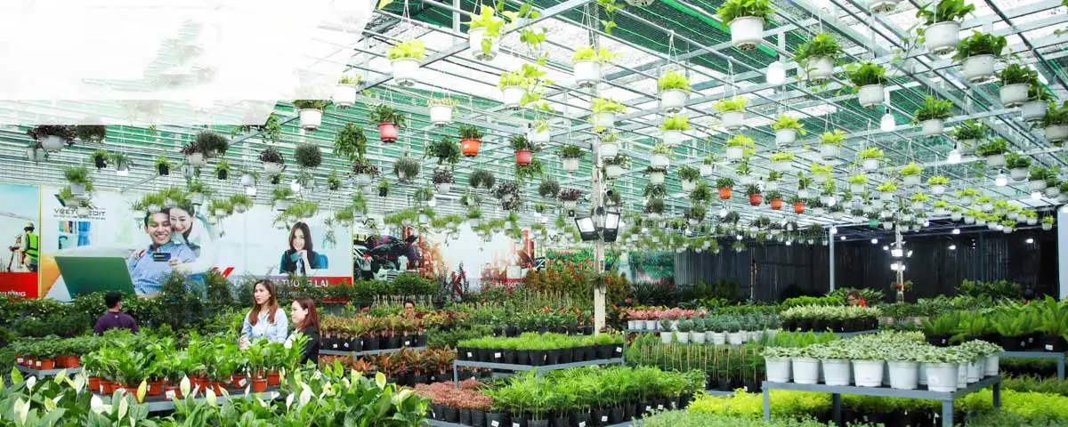 VS Phoenix Villa 7 Siêu thị Xanh VS Phoenix Villa Pleiku Gia Lai