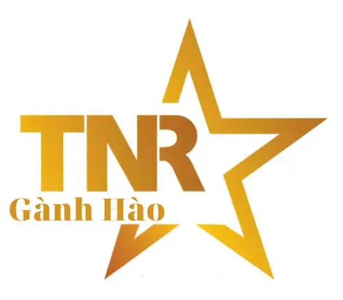 TNR Stars Gành Hào Bạc Liêu Logo TNR Stars Ganh Hao Bac Lieu - TNR Stars Gành Hào Bạc Liêu