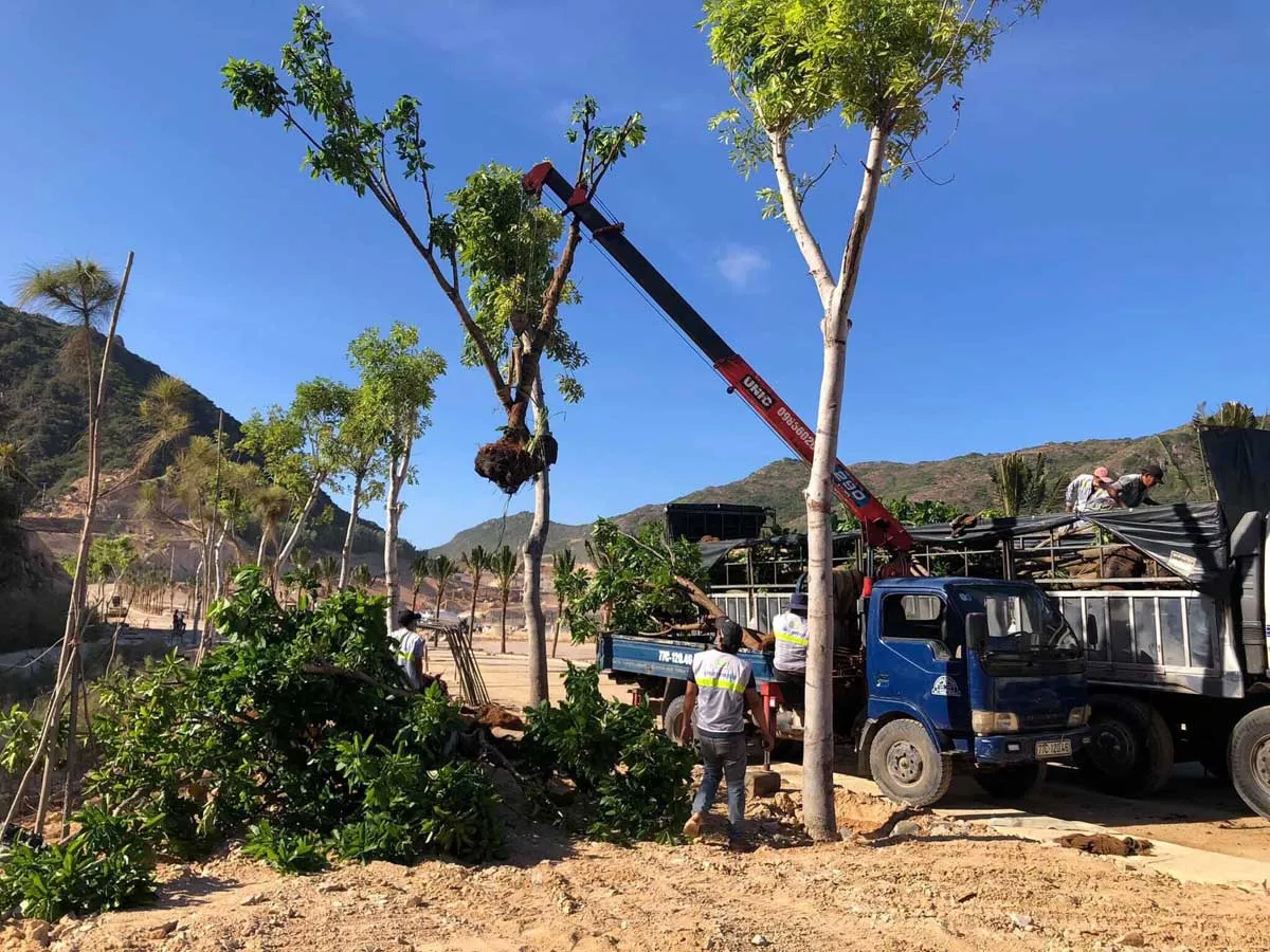 HẢI GIANG MERRY LAND QUY NHƠN 17 Tiến độ thi công Ngày 17/05/2021 tại Hải Giang Merry Land