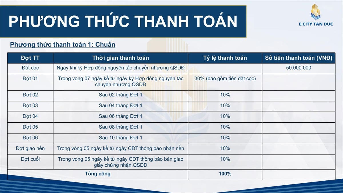 phuong-thuc-thanh-toan-chuan-ecity-tan-duc