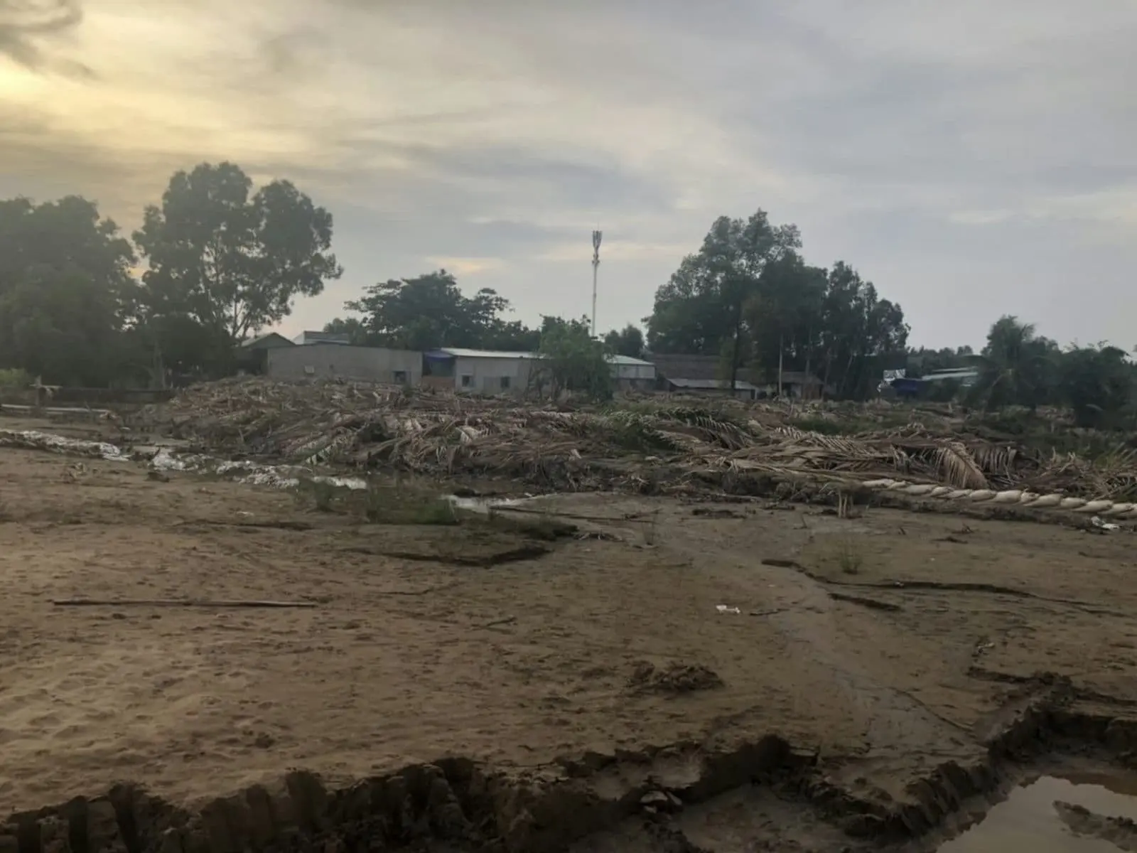 hinh anh thuc te du an south riverside 2 hinh anh thuc te du an south riverside 2