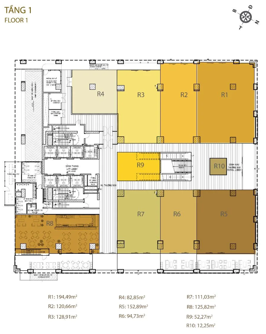 mb-tang-1-golden-king mb-tang-1-golden-king
