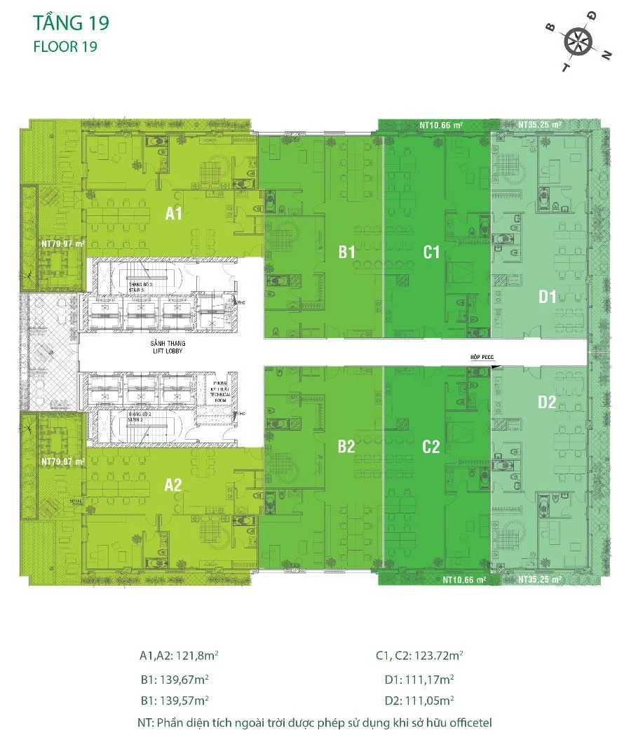 mb-tang-19-golden-king mb-tang-19-golden-king