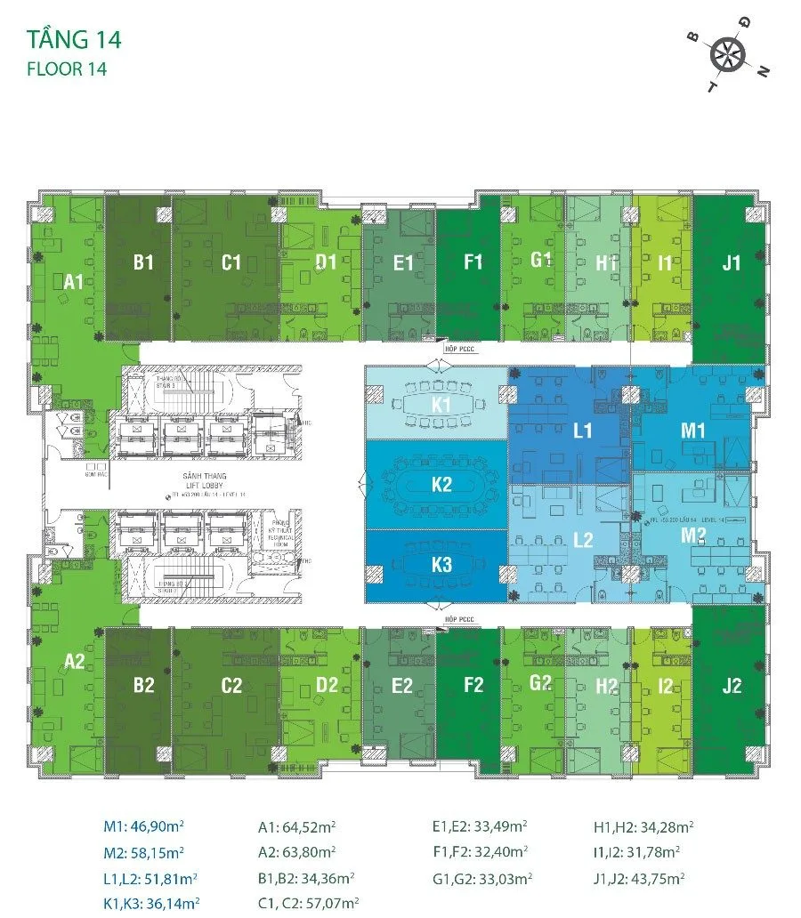 mb-tang-14-golden-king mb-tang-14-golden-king
