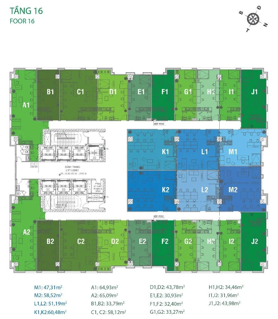 mb-tang-16-golden-king mb-tang-16-golden-king