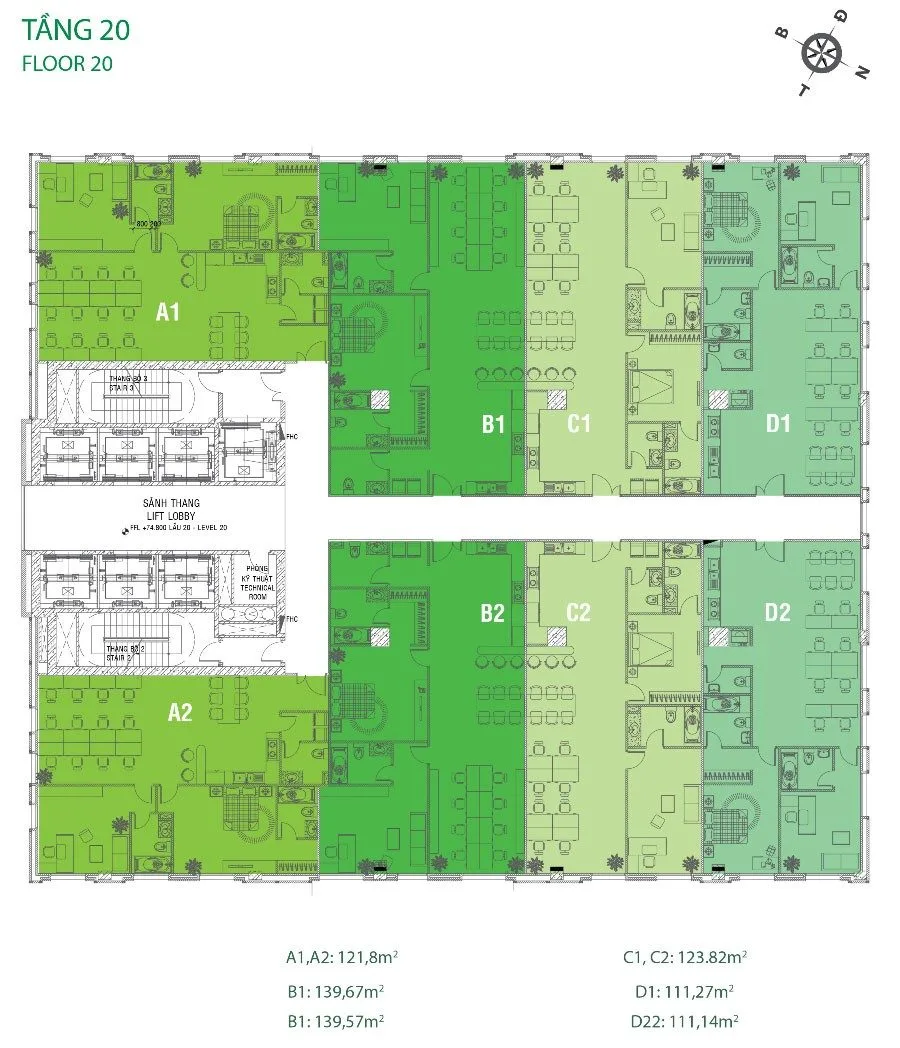 mb-tang-20-golden-king mb-tang-20-golden-king