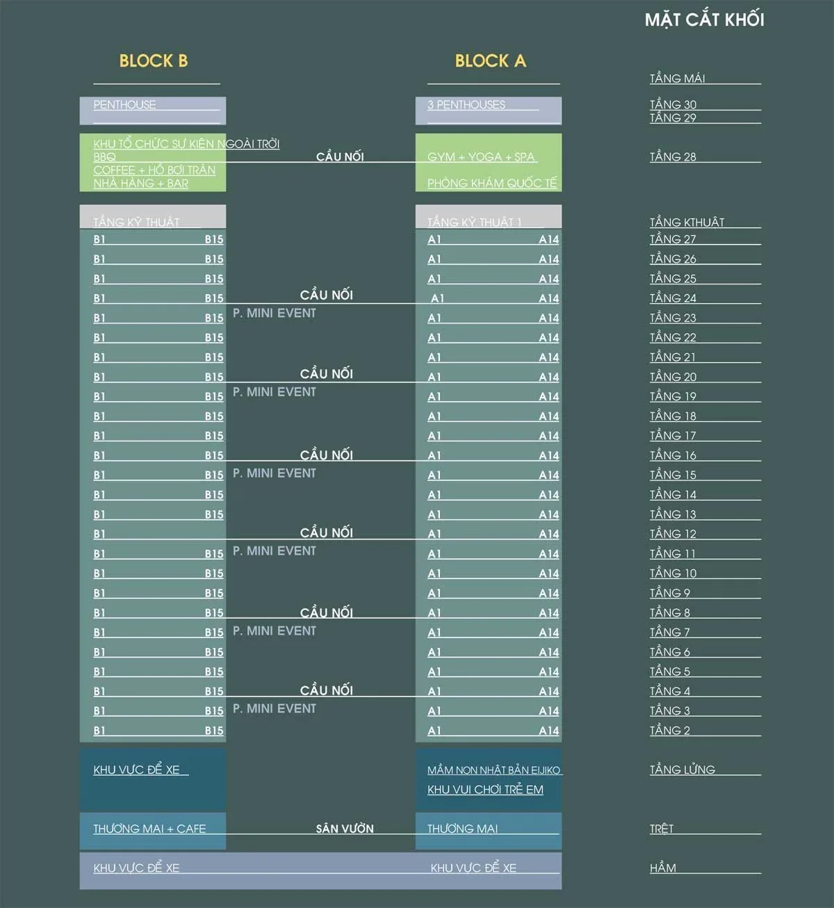 Mặt cắt khối của Dự án Victoria Garden Mặt cắt khối của Dự án Victoria Garden