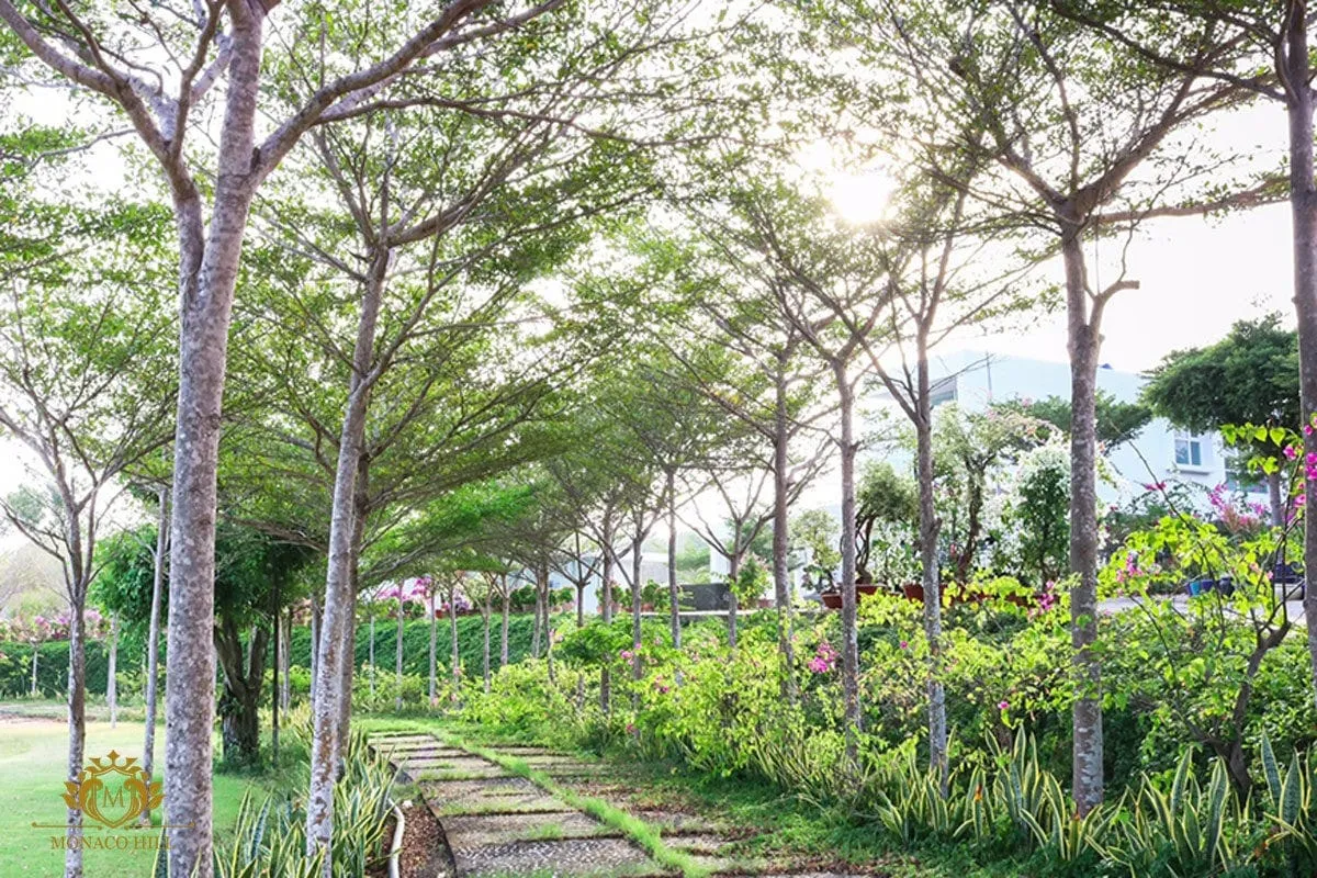 duong-hoa-du-an-monaco-hill-mui-ne duong-hoa-du-an-monaco-hill-mui-ne