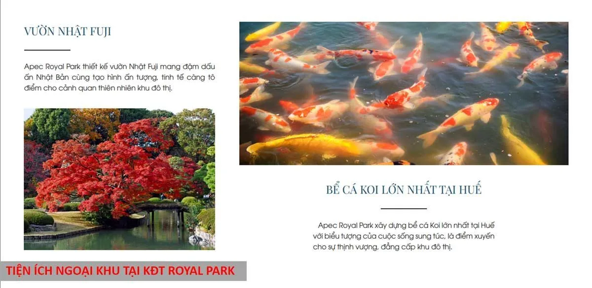 APEC MANDALA WYNDHAM HUẾ 14 tien-ich-vuon-nhat-fuji-va-be-ca-koi-lon-nhat-hue