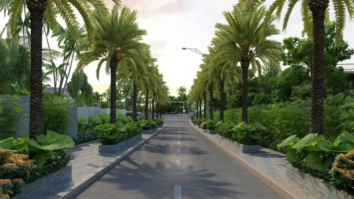 THE LONG HAI BÀ RỊA VŨNG TÀU 2 duong noi khu day cay xanh tai the long hai