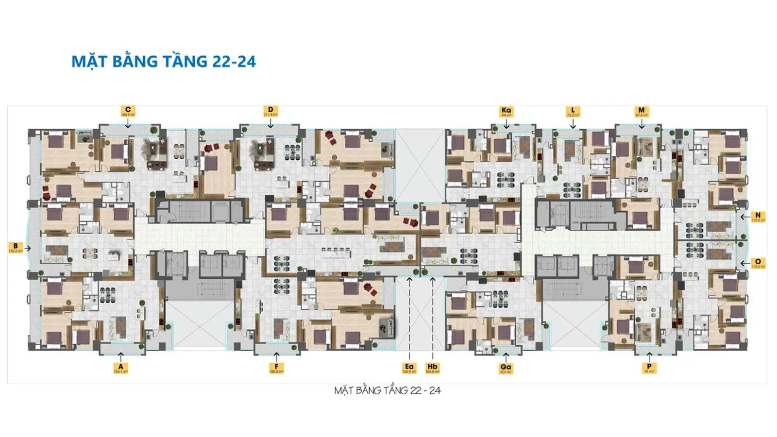 TAM ĐỨC PLAZA QUẬN 5 14 mat-bang-tang-22-24-du-an-tam-duc-plaza