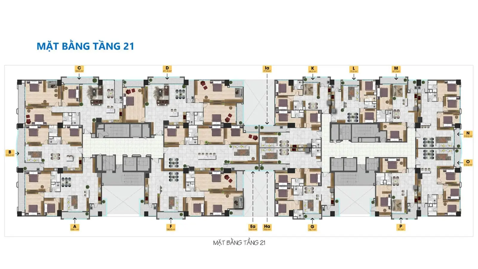 TAM ĐỨC PLAZA QUẬN 5 13 mat-bang-tang-21-du-an-tam-duc-plaza