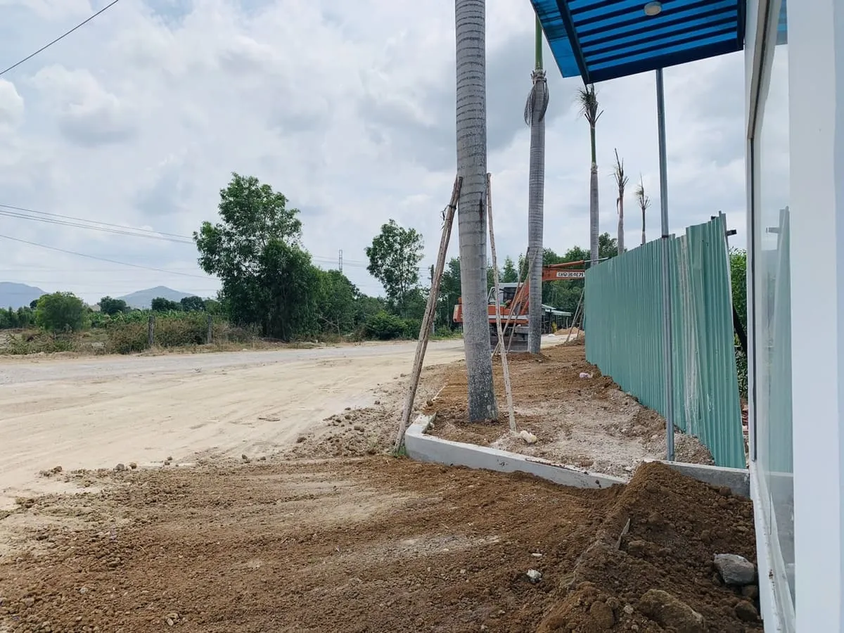 LIC CITY PHÚ MỸ 20 Tiến độ làm cảnh quan cây xanh tại Lic City