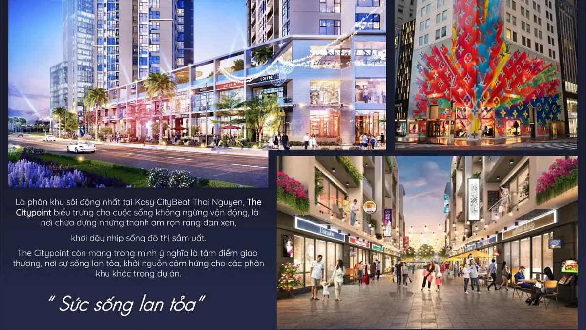 KOSY CITY BEAT THÁI NGUYÊN 13 Phân khu The City Point