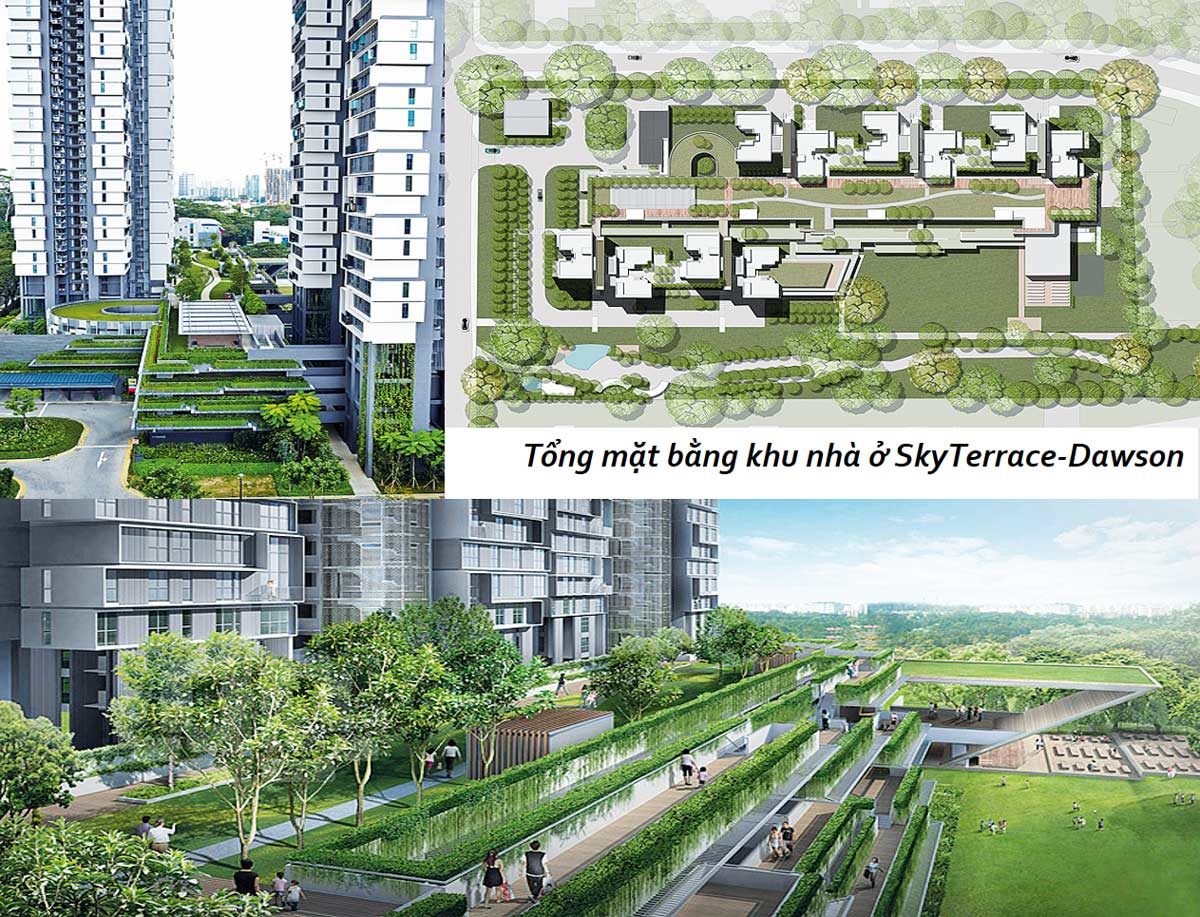 Không gian sống Xanh đẳng cấp Singapore tại Alva Plaza