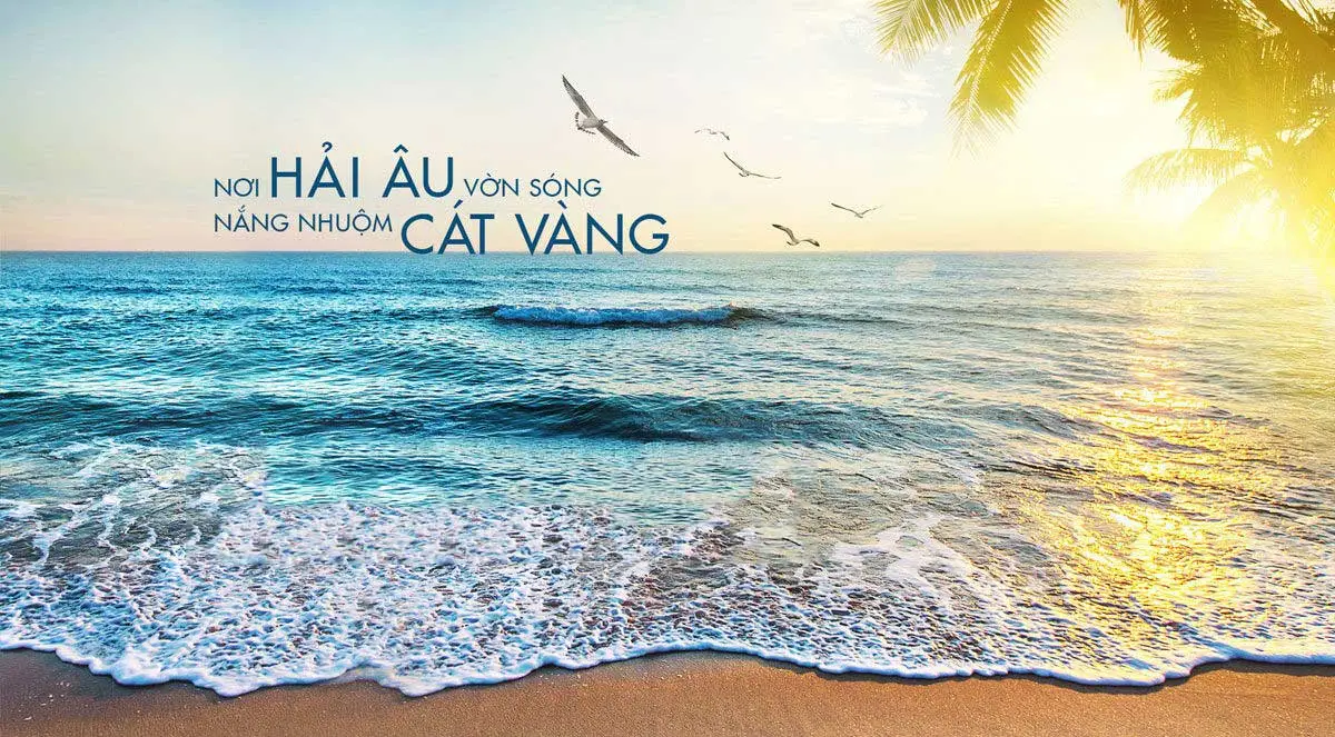 Dự án Ho Tram Grace Celina Resort Dự án Ho Tram Grace Celina Resort
