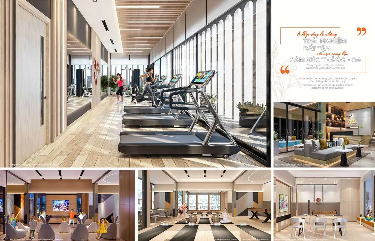 AMELIE VILLA PHÚ MỸ HƯNG 7 Khu Gym Amelie Villa Phú Mỹ Hưng Nhà Bè