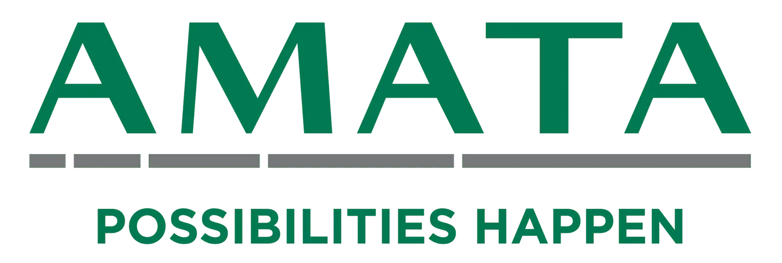 Amata Smart City Long Thành 2 Tập đoàn Amata