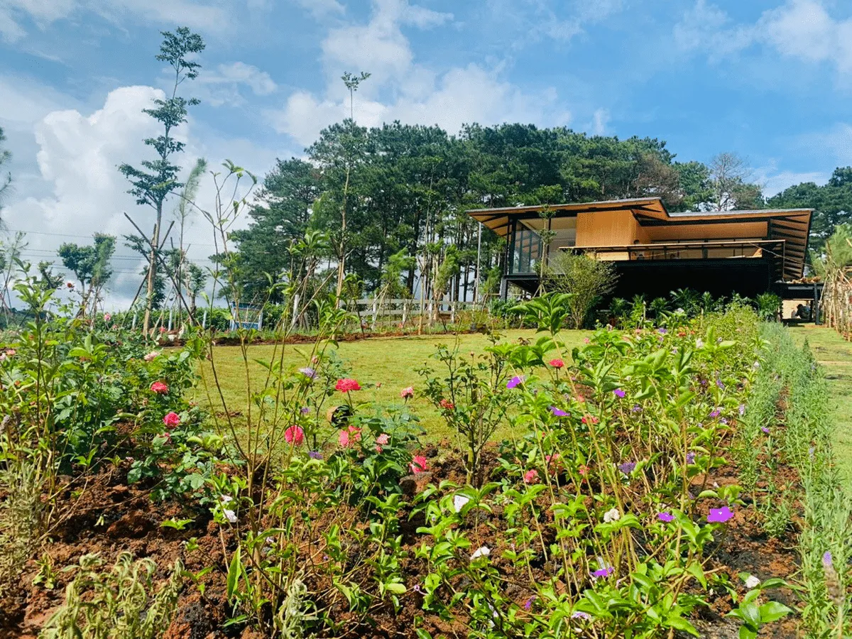 biệt-thự-KiWuKi-Village-Lâm-Đồng biệt-thự-KiWuKi-Village-Lâm-Đồng