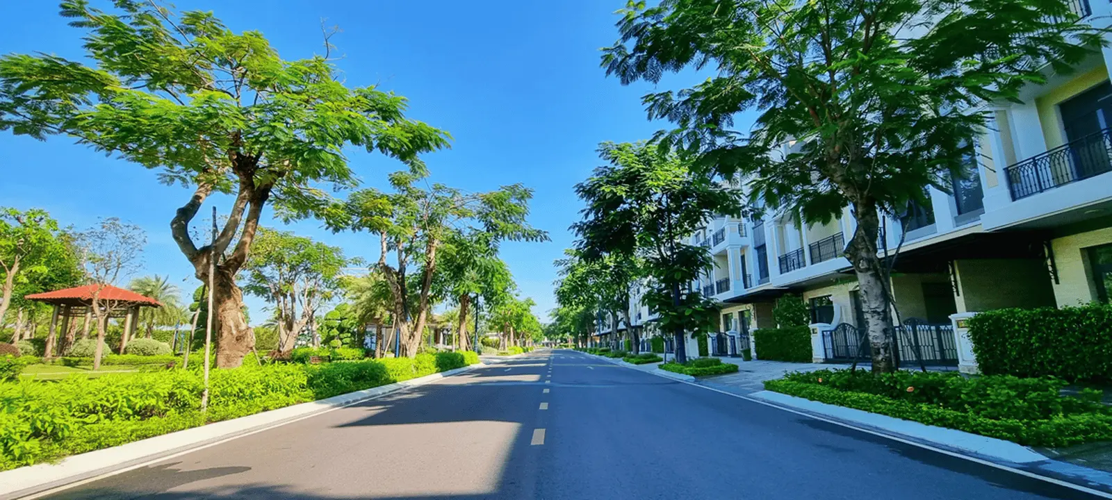 The Sholi 7 Tiện ích The Sholi Bình Tân