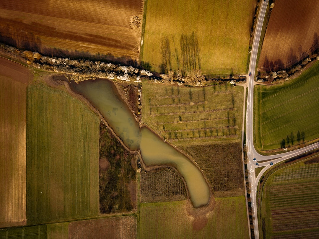 Tiềm năng và cơ hội đầu tư Đất Nền tại Tây Ninh: Phân tích 2 Tiềm năng và cơ hội đầu tư Đất Nền tại Tây Ninh — hình 2