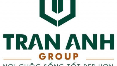 tran anh group - Trần Anh Group